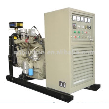 Weifang 30GFT Gas Generator Set